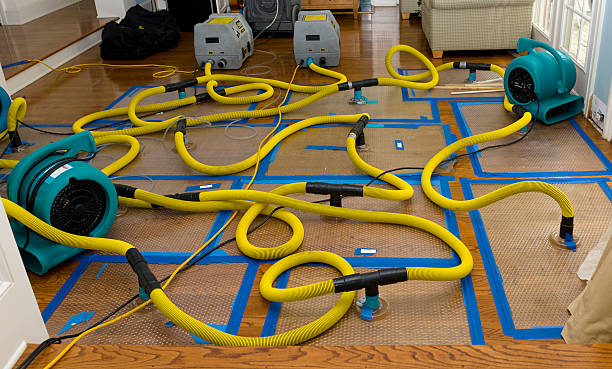 Professional Basement Flood Cleanup technician working in Amanda Park, WA